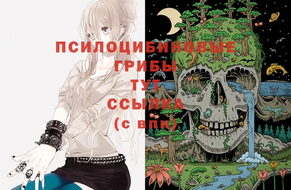 наркотики Инсар