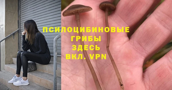 СК Иннополис